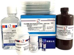 Tris-醋酸-SDS-PAGE電泳試劑盒（變性電泳，含預制膠）