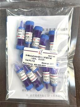 5×MonoColor 蛋白上樣緩沖液 (變性，非還原)